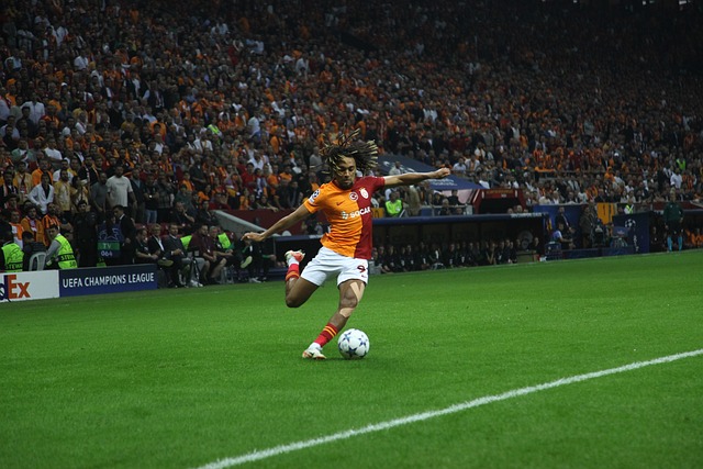 球迷們不妨 球迷們不妨