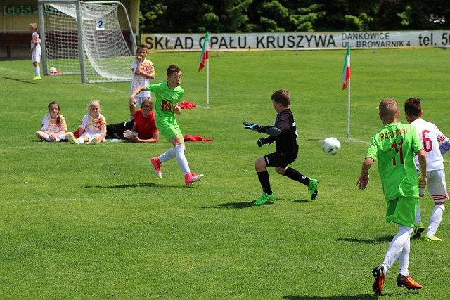 从市场规模 从市场规模