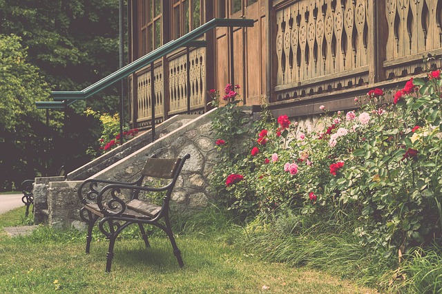 成为训练场 成为训练场