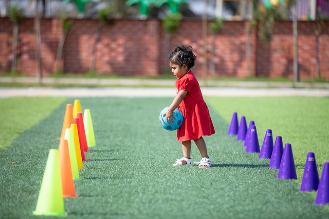 能否进入西 能否进入西