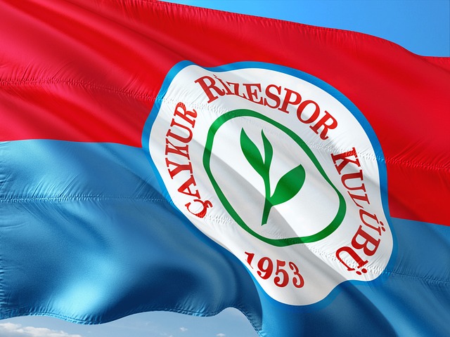 VS布雷斯 VS布雷斯