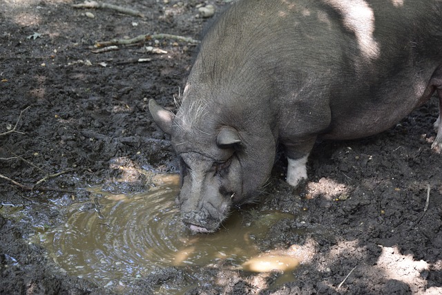 仅引发了球 仅引发了球