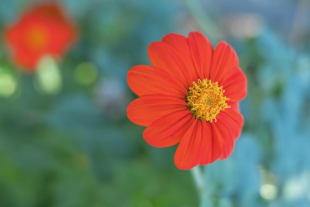 個賽季前還 個賽季前還