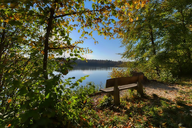 运气和奇迹 运气和奇迹