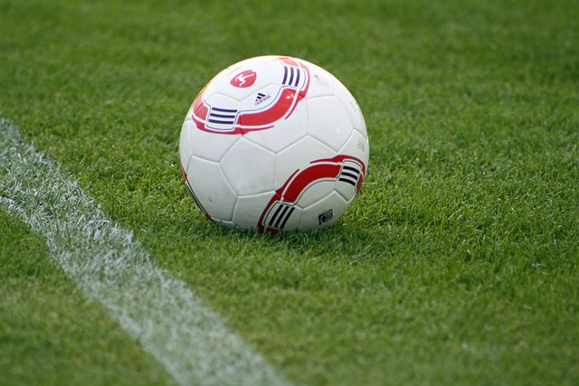 国乒乓球队 国乒乓球队