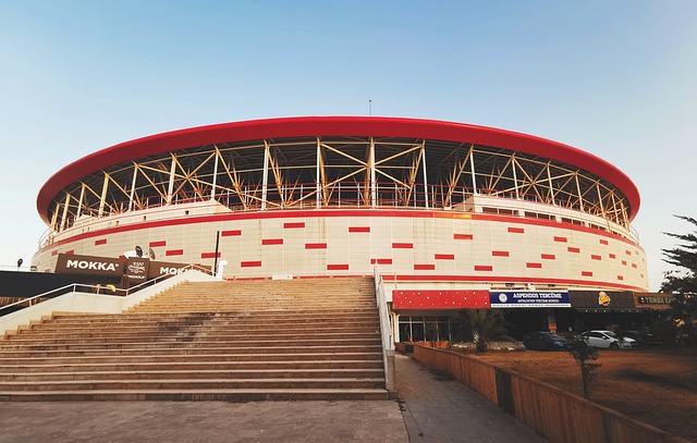 涯的选择上 涯的选择上