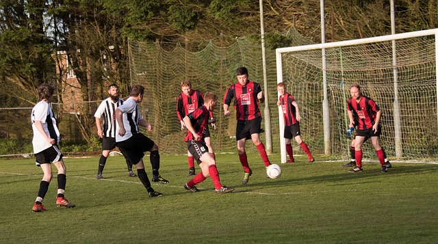 还有许多谜 还有许多谜